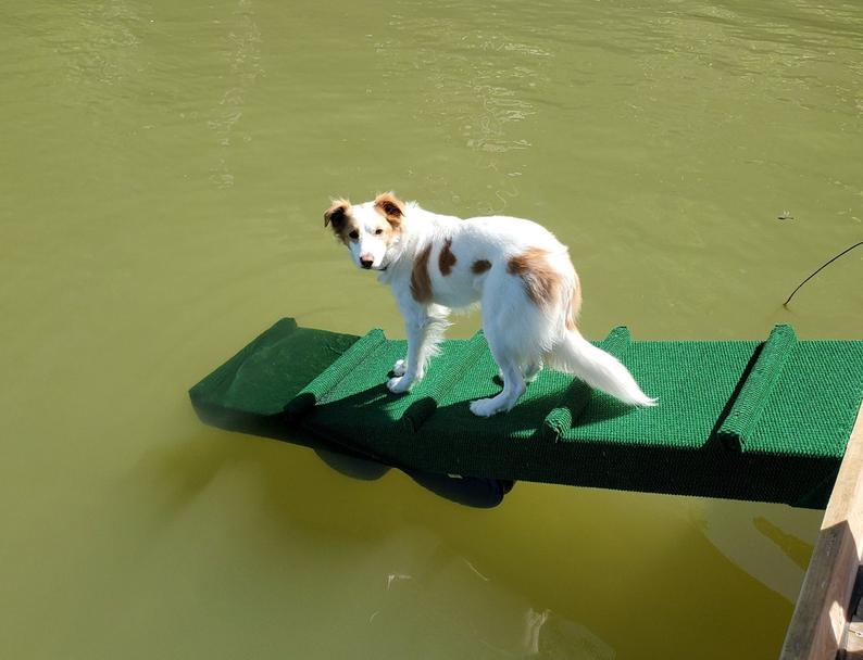 Dog Water Ramps, Dog Pontoon Boat Ramp Dog Dock Ramp